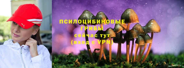 ECSTASY Белоозёрский