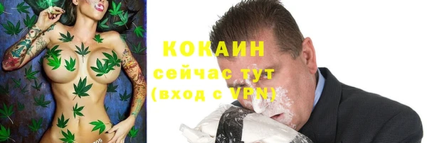 дурь Богданович
