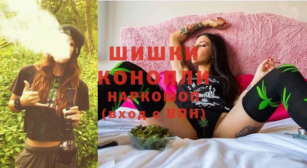 дурь Богданович