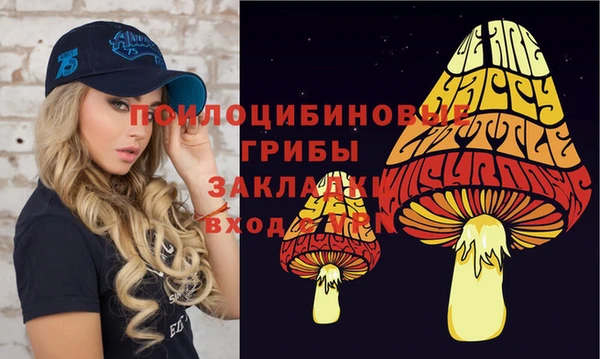 дурь Богданович