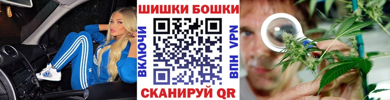 Бошки марихуана планчик  кракен ТОР  darknet телеграм  Клинцы 